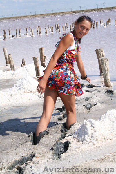 Лечебно косметические грязи залива cиваш - <ro>Изображение</ro><ru>Изображение</ru> #1, <ru>Объявление</ru> #97205