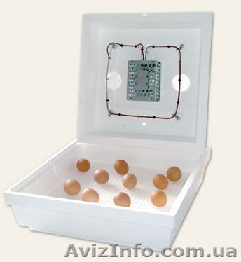 Інкубатор побутовий - <ro>Изображение</ro><ru>Изображение</ru> #1, <ru>Объявление</ru> #204531