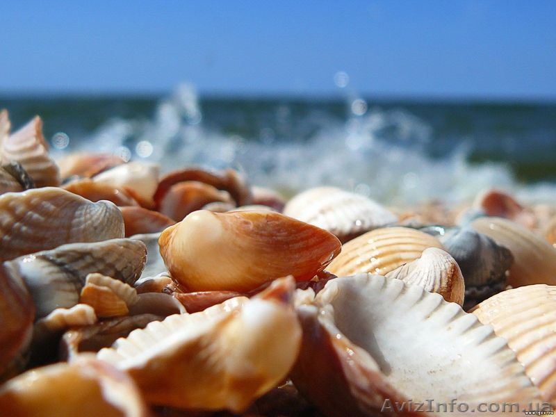 работа в Крыму для повара - <ro>Изображение</ro><ru>Изображение</ru> #1, <ru>Объявление</ru> #246460