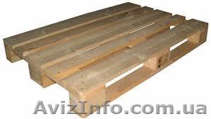 Європіддони                    - <ro>Изображение</ro><ru>Изображение</ru> #1, <ru>Объявление</ru> #649641