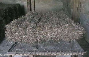 Камка утеплитель крымский продам  Львовская область  утеплитель из водорослей - <ro>Изображение</ro><ru>Изображение</ru> #1, <ru>Объявление</ru> #838637