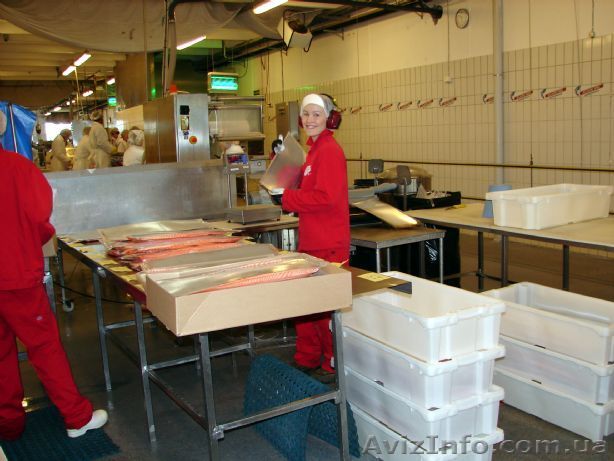 Робота в Швеції.  - <ro>Изображение</ro><ru>Изображение</ru> #1, <ru>Объявление</ru> #858773