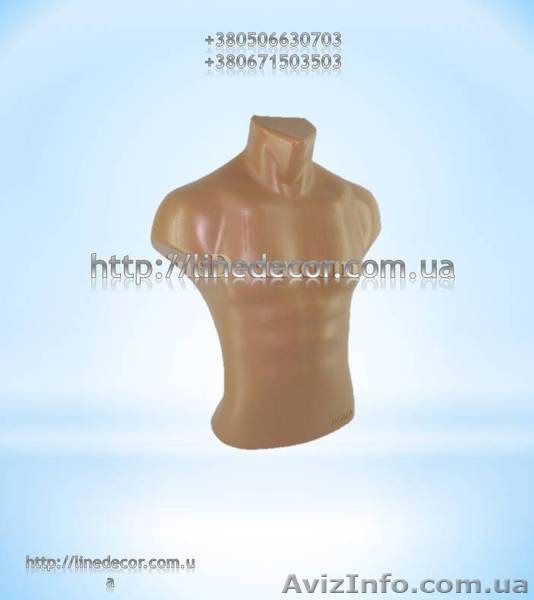 Манекен торс чоловічий - <ro>Изображение</ro><ru>Изображение</ru> #1, <ru>Объявление</ru> #919664