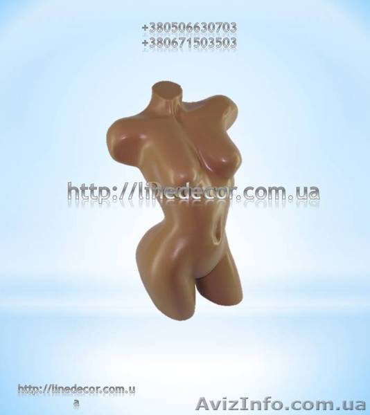 Манекени українського виробництва - <ro>Изображение</ro><ru>Изображение</ru> #1, <ru>Объявление</ru> #919660