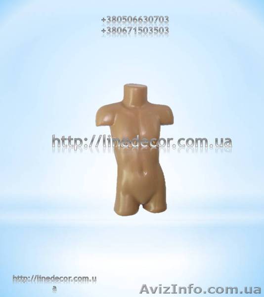  Манекен торс дитячій - <ro>Изображение</ro><ru>Изображение</ru> #1, <ru>Объявление</ru> #919669