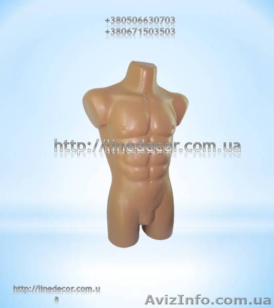 Продаю чіоловічій манекен українського виробництва. - <ro>Изображение</ro><ru>Изображение</ru> #1, <ru>Объявление</ru> #919767