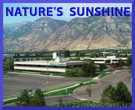 Бизнес-предложение NSP  - <ro>Изображение</ro><ru>Изображение</ru> #1, <ru>Объявление</ru> #975987