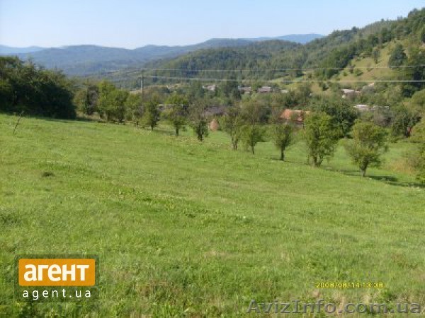 Земерьна ділянка в Карпатах с.Ямельниця - <ro>Изображение</ro><ru>Изображение</ru> #1, <ru>Объявление</ru> #996346