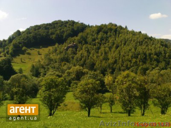 ПродамЗемлю  в Карпатах(Ямельниця) - <ro>Изображение</ro><ru>Изображение</ru> #1, <ru>Объявление</ru> #996349