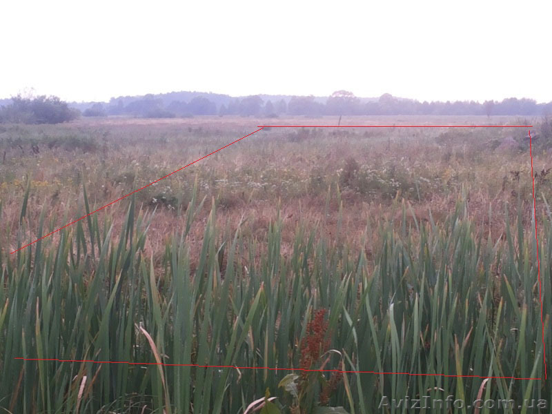 Продається ділянка землі під Львовом недорого - <ro>Изображение</ro><ru>Изображение</ru> #1, <ru>Объявление</ru> #1138306