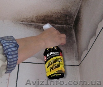 Чешское бесхлорное средство для ликвидации плесени FungiSPRAY  - <ro>Изображение</ro><ru>Изображение</ru> #1, <ru>Объявление</ru> #1211361