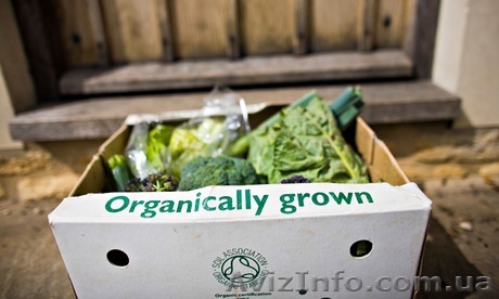 Продам часть доли в бизнесе экопродукты - <ro>Изображение</ro><ru>Изображение</ru> #1, <ru>Объявление</ru> #1220913