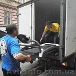 Послуги вантажників - <ro>Изображение</ro><ru>Изображение</ru> #1, <ru>Объявление</ru> #1220016