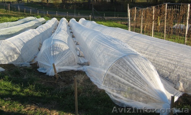 Продажа парников для дачи и огорода с доставкой по Украине за 2 дня - <ro>Изображение</ro><ru>Изображение</ru> #1, <ru>Объявление</ru> #1239769