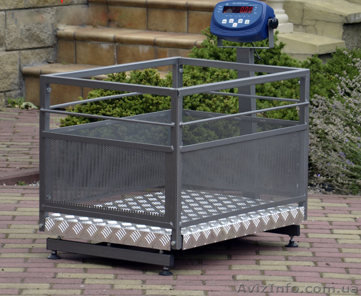 Весы для поросят (Польша) - <ro>Изображение</ro><ru>Изображение</ru> #1, <ru>Объявление</ru> #1504335