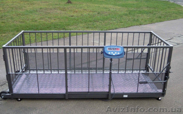 Весы для свиней (Польша) - <ro>Изображение</ro><ru>Изображение</ru> #1, <ru>Объявление</ru> #1504346