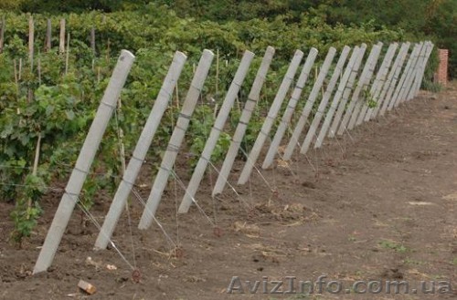 З/б стовпчики (ж/б столбики) б/у та нові; дріт - <ro>Изображение</ro><ru>Изображение</ru> #1, <ru>Объявление</ru> #1582943