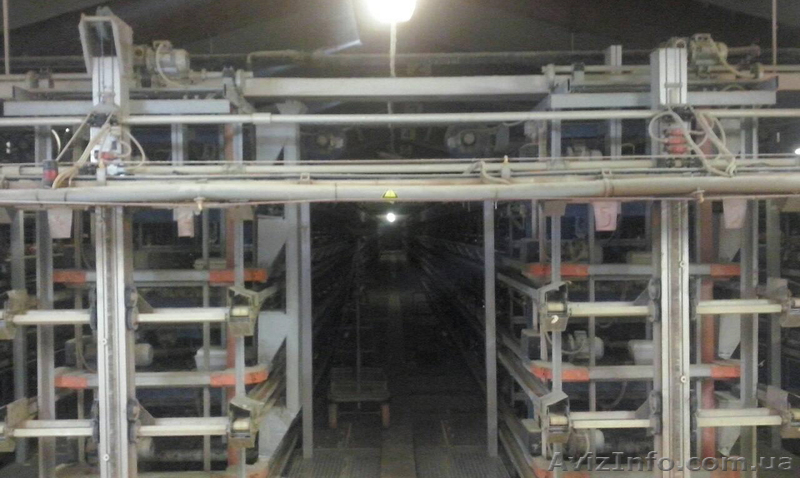 Клеточное оборудование TECNO 2006 г.   - <ro>Изображение</ro><ru>Изображение</ru> #1, <ru>Объявление</ru> #1615271