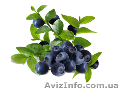 Чорничне варення для дітей та дорослих - <ro>Изображение</ro><ru>Изображение</ru> #1, <ru>Объявление</ru> #1627894