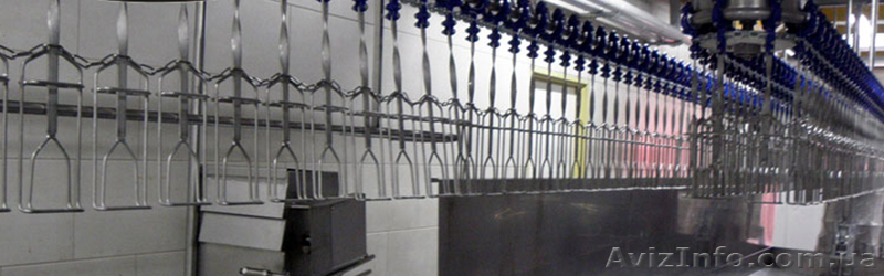 Желоб потрошения птицы - <ro>Изображение</ro><ru>Изображение</ru> #1, <ru>Объявление</ru> #1626116