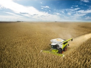 Уборка урожая Львов,посев,дисковка,аренда комбайна,трала,нанять дрон,оранка. - <ro>Изображение</ro><ru>Изображение</ru> #1, <ru>Объявление</ru> #1728546