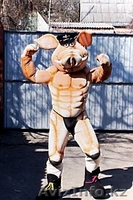 ростовые куклы купить              - <ro>Изображение</ro><ru>Изображение</ru> #9, <ru>Объявление</ru> #94372