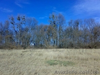 Продажа 24 га земли, на фасаде трассы Львов–Киев, коммерческая застройка - <ro>Изображение</ro><ru>Изображение</ru> #2, <ru>Объявление</ru> #81805