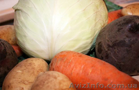 Овочі гуртом та роздріб - <ro>Изображение</ro><ru>Изображение</ru> #3, <ru>Объявление</ru> #115861