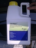 Галера, Зенкор, Актара, Круизер, Моспилан, Зелек Супер, Карате Зеон, Гранстар, П - <ro>Изображение</ro><ru>Изображение</ru> #8, <ru>Объявление</ru> #150693