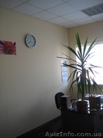 Помещение под информационно-компьютерный центр, офис, представительство, ул.Шевч - <ro>Изображение</ro><ru>Изображение</ru> #5, <ru>Объявление</ru> #171917