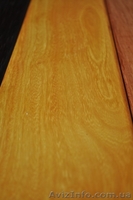 Желтое дерево, Пау-амарелло (Амарилло,Бразильское желтое дерево) - <ro>Изображение</ro><ru>Изображение</ru> #1, <ru>Объявление</ru> #407524