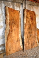 Экзотические породы древесины - <ro>Изображение</ro><ru>Изображение</ru> #3, <ru>Объявление</ru> #132283