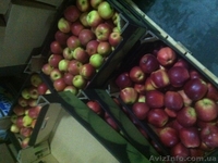 яблоки оптом из Польши - <ro>Изображение</ro><ru>Изображение</ru> #1, <ru>Объявление</ru> #569889