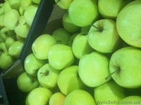 яблоки оптом из Польши - <ro>Изображение</ro><ru>Изображение</ru> #2, <ru>Объявление</ru> #569889