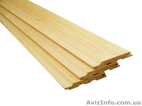 Лиственница сибирская Львов Украина - <ro>Изображение</ro><ru>Изображение</ru> #1, <ru>Объявление</ru> #153177