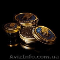 Икра черная осетровая стерляди - <ro>Изображение</ro><ru>Изображение</ru> #1, <ru>Объявление</ru> #741039