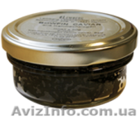 Икра черная осетровая стерляди - <ro>Изображение</ro><ru>Изображение</ru> #6, <ru>Объявление</ru> #741039