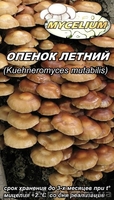 Мицелий вешенки, шампиньона Недорого! Міцелій гливи, печериці - <ro>Изображение</ro><ru>Изображение</ru> #6, <ru>Объявление</ru> #735554