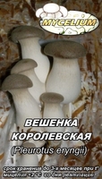Мицелий вешенки, шампиньона Недорого! Міцелій гливи, печериці - <ro>Изображение</ro><ru>Изображение</ru> #4, <ru>Объявление</ru> #735554