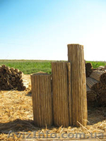 Камышовые маты, камышовые плиты, евроснопа, утеплительные плиты . - <ro>Изображение</ro><ru>Изображение</ru> #1, <ru>Объявление</ru> #918114