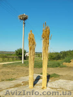 Камышовые маты, камышовые плиты, евроснопа, утеплительные плиты . - <ro>Изображение</ro><ru>Изображение</ru> #3, <ru>Объявление</ru> #918114