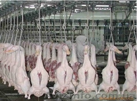 Оборудование мясоперерабатывающее - <ro>Изображение</ro><ru>Изображение</ru> #8, <ru>Объявление</ru> #918867