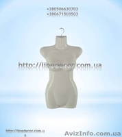 манекен полу-тулуб - <ro>Изображение</ro><ru>Изображение</ru> #1, <ru>Объявление</ru> #919688