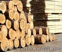 пиломатериалы на кровлю-6м длина - <ro>Изображение</ro><ru>Изображение</ru> #3, <ru>Объявление</ru> #986838