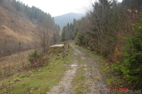 Земельный участок под строительство в Карпатах!  - <ro>Изображение</ro><ru>Изображение</ru> #2, <ru>Объявление</ru> #975150