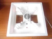 Інкубатори побутові - <ro>Изображение</ro><ru>Изображение</ru> #2, <ru>Объявление</ru> #1063357