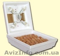 Інкубатори побутові - <ro>Изображение</ro><ru>Изображение</ru> #5, <ru>Объявление</ru> #1063357