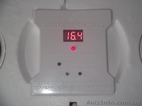 Інкубатори для виведення пташенят - <ro>Изображение</ro><ru>Изображение</ru> #2, <ru>Объявление</ru> #1063358