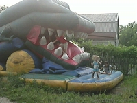 Батут-горка "Крокодил" большой.Срочно. - <ro>Изображение</ro><ru>Изображение</ru> #3, <ru>Объявление</ru> #1123221