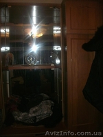Оренда 1 кім квартири по вул. Замковій  - <ro>Изображение</ro><ru>Изображение</ru> #3, <ru>Объявление</ru> #1139659